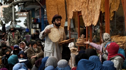 سایه سیاه قحطی بر سر زندگی سه میلیون افغانستانی 