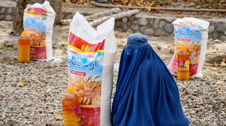 د ښځو په سرپرستۍ دوه پر درېیمه برخه کورنۍ د خوراکي توکو د اخیستو توان نه لري