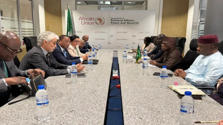 Libya, Sudan zinaongoza ajenda ya vikao vya Baraza la Amani Usalama la Afrika
