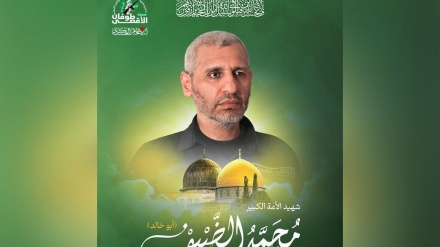 “Məhəmməd Əz-Zeyfin” şəhadəti xəbərinin gecikdirilməsinin sirri