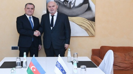Ադրբեջանի ԱԳ նախարարը ԵԱՀԿ գլխավոր քարտուղարի հետ հանդիպմանը կրկին բողոքել է Հայաստանի Սահմանադրությունից