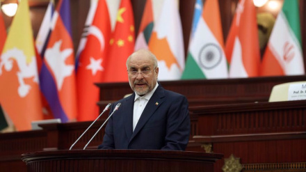  ফিলিস্তিনের ভাগ্য নির্ধারণের কোনো অধিকার ঔপনিবেশিক শক্তিগুলোর নেই: কালিবাফ