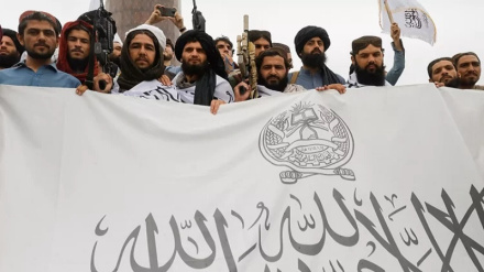 د ناپېژاندو هکرانو له لوري د طالبانو د  حکومت اسناد خپاره شوي دي