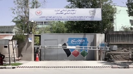 طالبان: بیش از 11 میلیارد افغانی به یتیمان، بیوه‌ها و معلولان پرداخت شده است