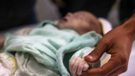 Qəzzənin mühasirəsi və dağıdılması ilə sionist soyqırım davam edir; Soyuq 7 fələstinli uşağı öldürdü