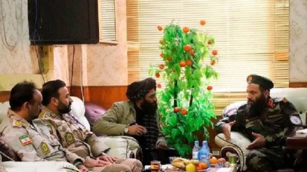 هیاتی از مرزبانان ایرانی با نمایندگان مرزبانی طالبان گفتگو کردند