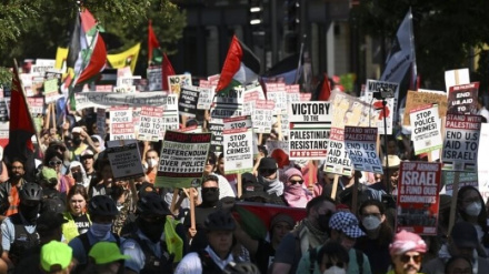 В Мичигане, США, приостановлена ​​пропалестинская студенческая деятельность