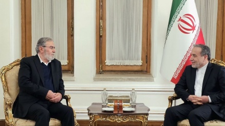 عراقچی در دیدار النخاله: طرح آمریکا برای غزه توطئه‌ محو فلسطین است