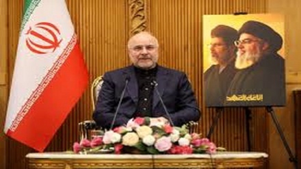  قالیباف: ایران از هر اجماعی میان دولت، مجلس، مقاومت و مردم لبنان حمایت می کند