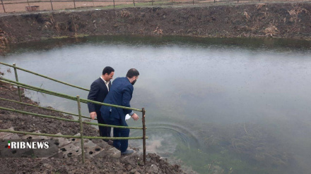 De Fəcri da rujon həmzəmon, Qilonədə planon bə istismor rəsey