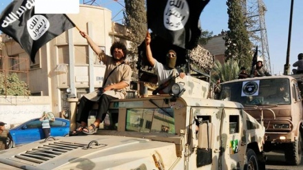 Türkiyə İŞİD-a təlim keçərək İraq və Suriyaya qarşı plan hazırlayır