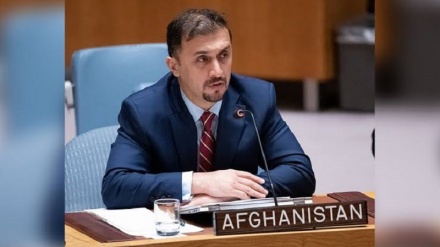 فایق: طالبان فقط به فکر تحکیم قدرت خود هستند