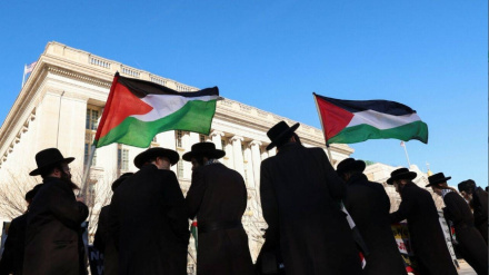 145 anëtarë të Kongresit amerikan dhe 350 rabinë hebrenj kundërshtojnë planin e Trump për Rripin e Gazës