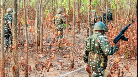 ছত্তিসগড়ে যৌথ অভিযানে ৩১ মাওবাদী নিহত, গুলিতে নিরাপত্তাবাহিনীর দুই সদস্যের মৃত্যু 