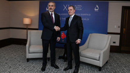 Թուրքիայի և Ադրբեջանի արտգործնախարարները 