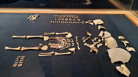 चाइना की ग्रेट वॉल के सबसे पुराने हिस्से की खोज, पांचवीं सहस्राब्दी ईसा पूर्व से ईरान की सबसे ताज़ा आर्कियालाजी डिस्कवरी