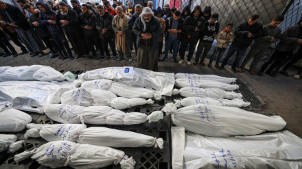 Serikali ya Gaza: Zaidi ya Wapalestina elfu 61 wameuawa shahidi, familia 2,092 zimefutwa kabisa