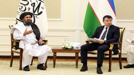 آمادگی ازبکستان برای ایجاد زون تجاری مشترک در مرز با افغانستان