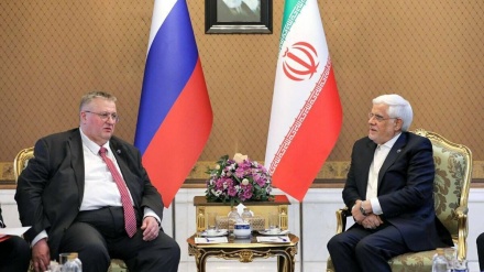 Ареф: Мы будем искать решения региональных проблем только с помощью стран региона