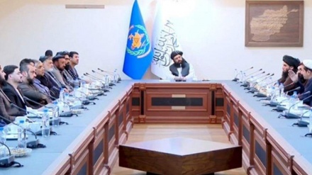 هېوادونه باید د افغان کډوالو پر وړاندې تاوتریخوالی ودروي