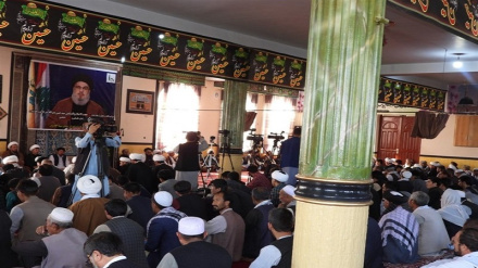 جوانان کابل: افتخار ما زندگی در عصر «نصرالله» است