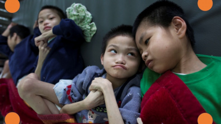 מה יודעים על 