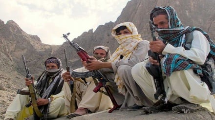کشته شدن ده‌ها شبه نظامی در درگیری با ارتش پاکستان نزدیک مرز افغانستان