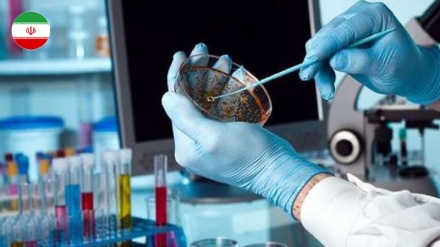 Une évolution dans le diagnostic du cancer du système gastro-intestinal humain, grâce à un kit iranien