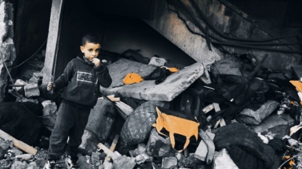 Luftangriff auf das Lager al-Nuseirat, palästinensische Kinder essen Blätter