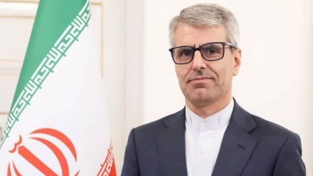 Portavoz de Irán: Estamos orgullosos de que el Noruz iraní sea ahora celebrado por diferentes naciones como símbolo de amistad y paz