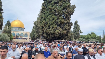 ۷۵ زره فلسطینیانو د قدس په ورځ په مسجد الاقصی کې د جمعې په لمانځه کې ۷۵ګډون وکړ