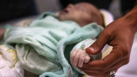 Netanýahunyň tarapyndan geçelgeleriň ýapylmagy jenaýat we genosiddir