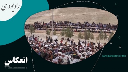 بررسی دلایل و نتایج قیام 24 حوت سال 1357 مردم هرات 