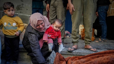 26 palestinezë ranë dëshmorë në sulmet e regjimit sionist në Rripin e Gazës