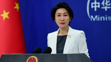 La Chine soutient les positions des pays islamiques : Gaza est une partie intégrante du territoire palestinien
