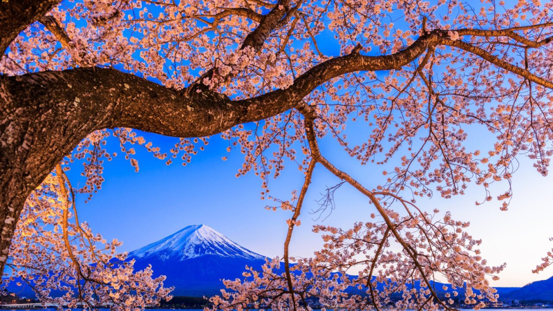 یک دو سه بهار 1404/01/04