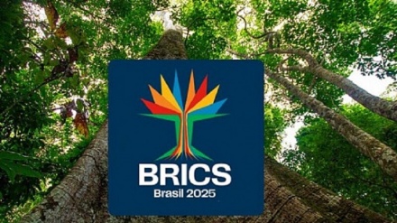 BRİKS ölkələrinin gəncləri beynəlxalq məsələlər ətrafında fikir mübadiləsi aparıblar