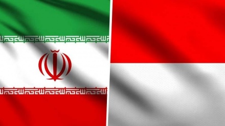 Lajm i ri për zgjerimin e marrëdhënieve doganore mes Iranit dhe Indonezisë