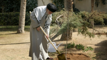 Imam Khamenei: Harakati ya Kitaifa ya Upandaji Miti iendelee
