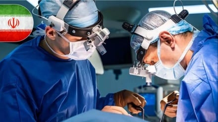 बोन मैरो ट्रांसप्लांटेशन में ईरान दुनिया के तीन अग्रणी देशों में शामिल