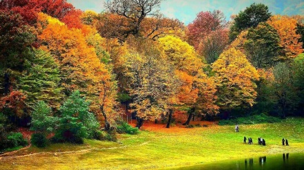 El bosque iraní de 40 millones de años; cinco cosas sobre la región hircania