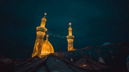 «Consultarsi è una fonte di guida»; 9 detti istruttivi dell’Imam Ali