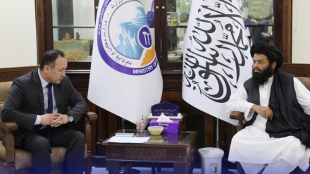 افغانستان کښې د پانګونې په موخه دغه هیواد ته د قزاقستان او ازبکستان د استازو سفر