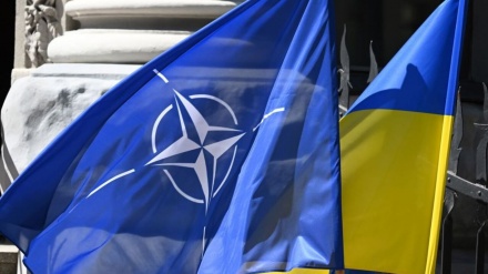 Ministrat e Mbrojtjes të pesë vendeve të NATO-s theksojnë mbështetjen për Ukrainën