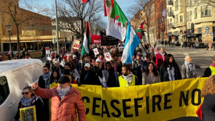 Декларация солидарности с Палестиной в Швеции