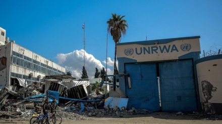 UNRWA. Գազա մարդասիրական  օգնություն վերջին անգամ մուտք է գործել 3 շաբաթ առաջ 