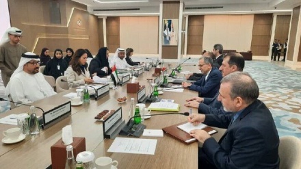 Консультации между заместителем министра иностранных дел Ирана по политическим вопросам и дипломатическим советником президента ОАЭ по вопросам, представляющим интерес