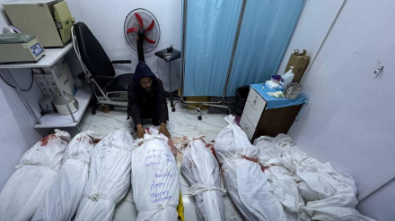 Посол Израиля в ООН: Возврат к войне был необходим