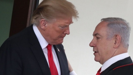 “Tramp du voteydə” və “şəytonə Amerkə de mızokirə kardey pok nibəbe”. Bə X sosyal şəbəkə istifodəçiyon qıləy nəzə