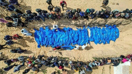 Члены британской Палаты общин критикуют пассивный подход правительства к преступлениям сионистского режима